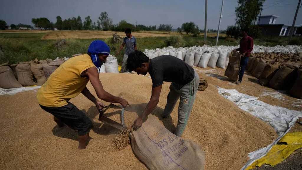 L'Inde lève la totalité des restrictions sur les exportations de blé