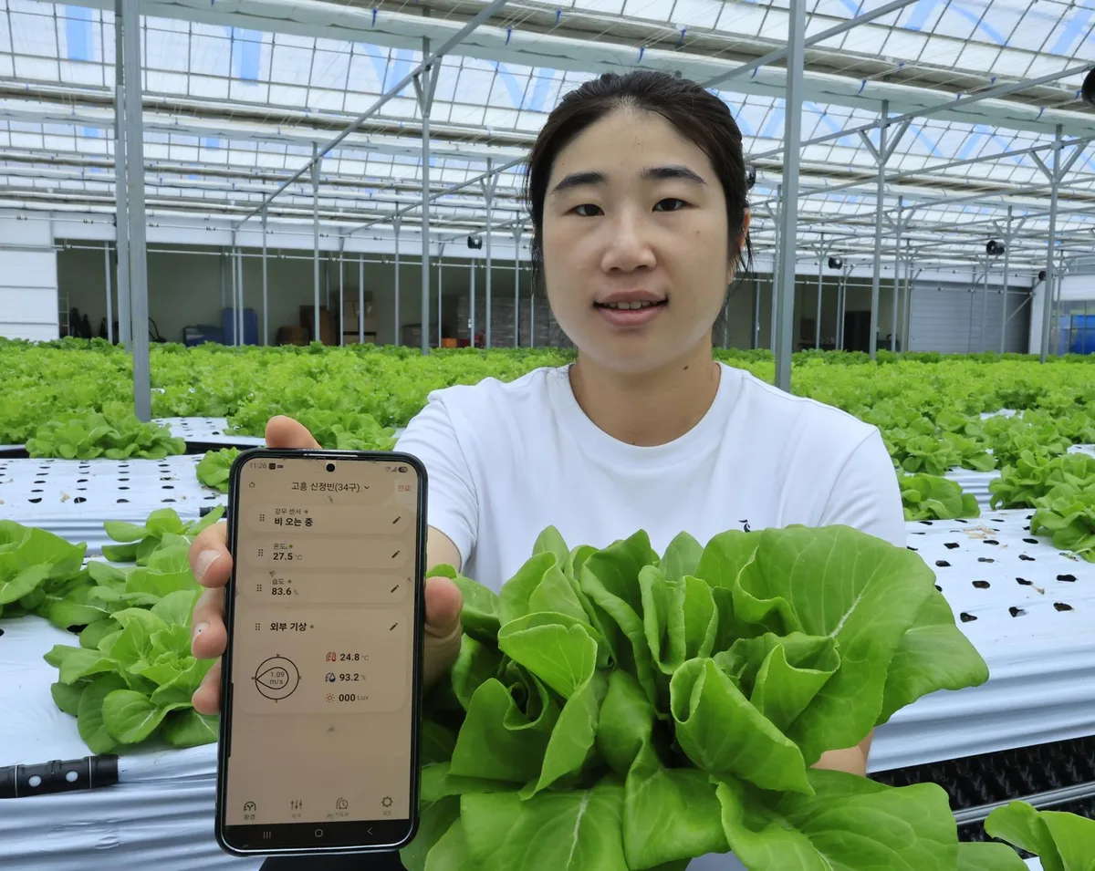 스마트팜에서 천천히 키우는 채소…29세 청년 농부의 ‘느린 농업’