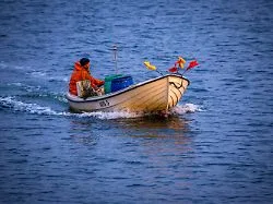 Bestände unter Mindestwert: EU will Fischern den Heringsfang in westlicher Ostsee verbieten