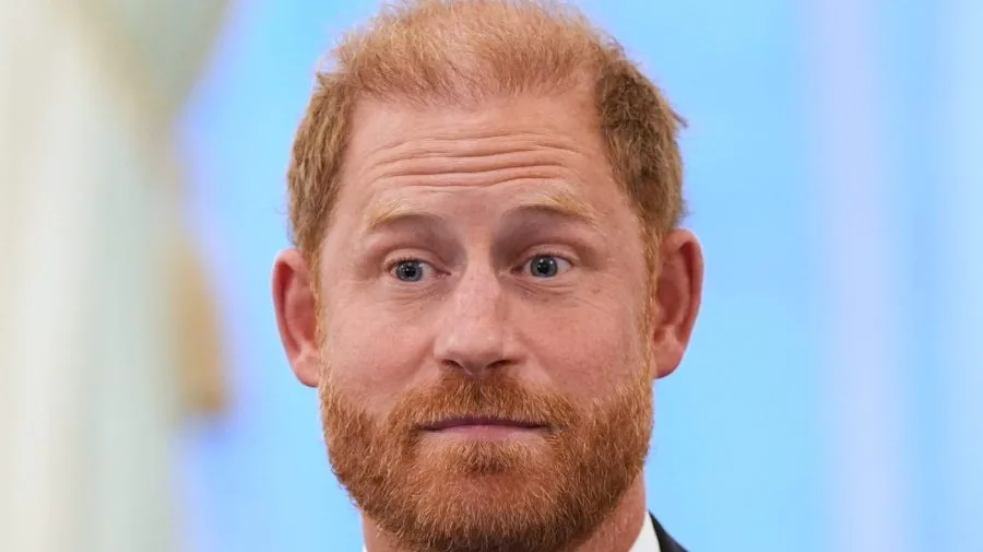 Prince Harry quits African conservation charity after rangers' human rights abuses