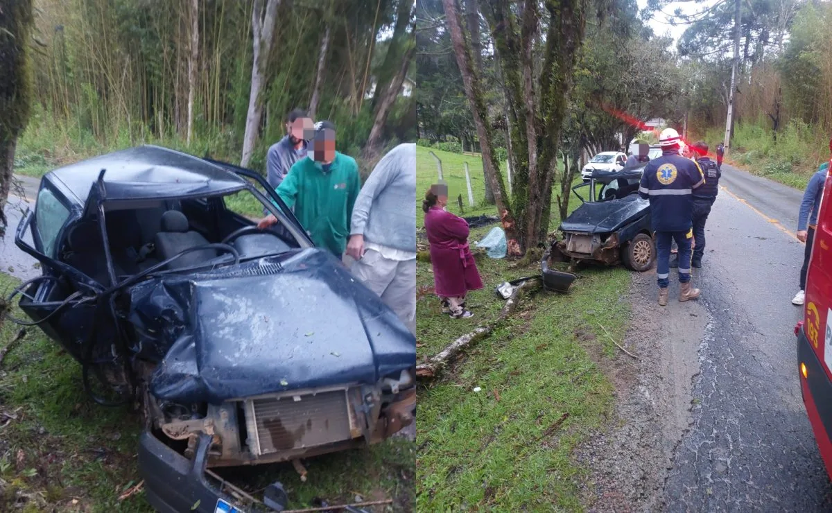 Jovem perde controle de Uno em pista escorregadia e é socorrido após bater contra árvore em São José dos Pinhais