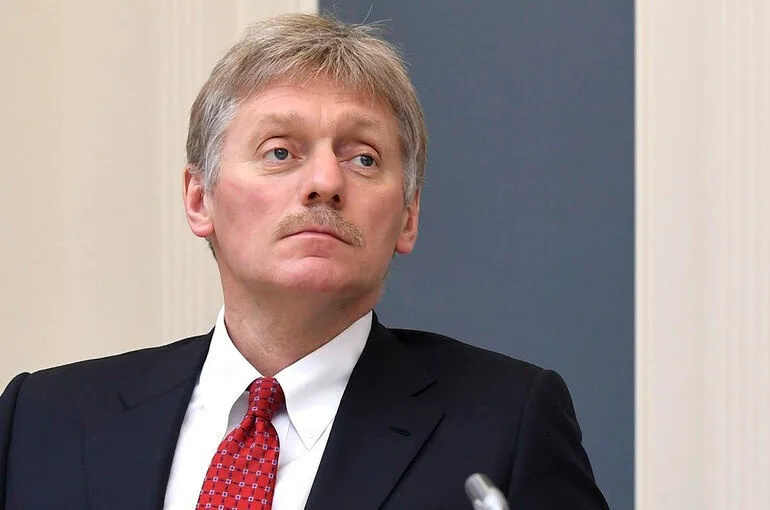 Песков не располагает информацией о севшем в Москве самолете ВВС США