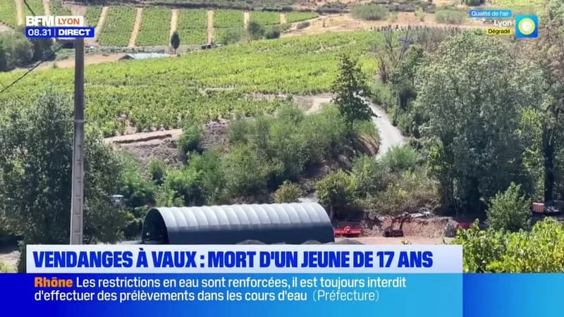 Vaux-en-Beaujolais: âgé de 17 ans, il meurt à cause de la remorque d'un tracteur lors des vendanges