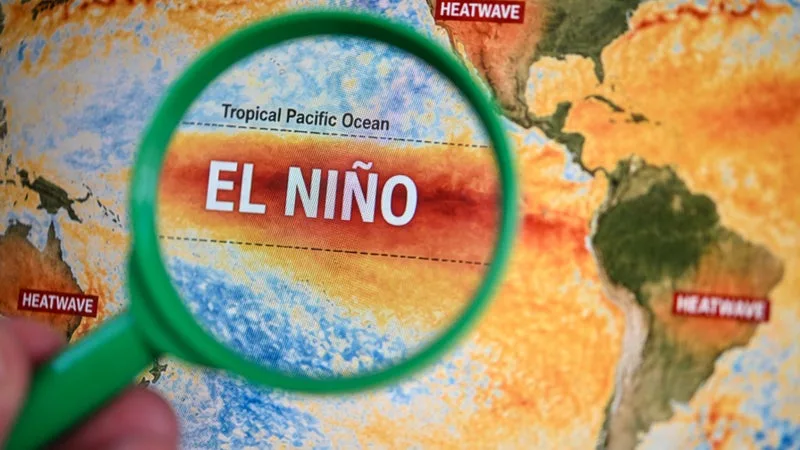 Un El Niño d'une "intensité exceptionnelle" entraîne des températures inédites dans le Pacifique
