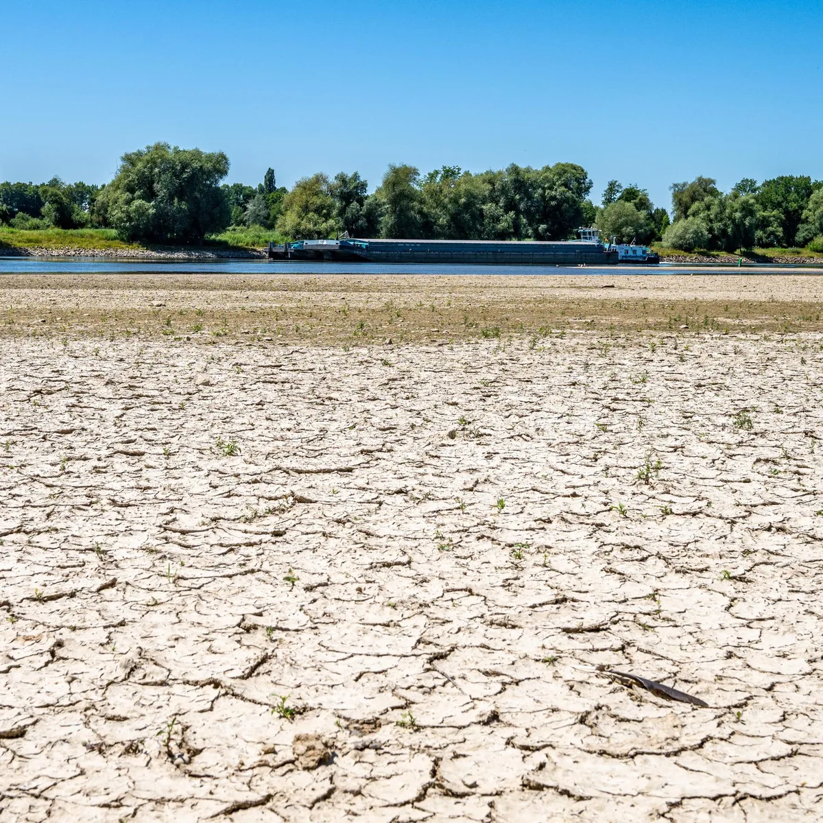 Wirtschaft - Bundesbank befürchtet durch Niedrigwasser Konjunkturdämpfer