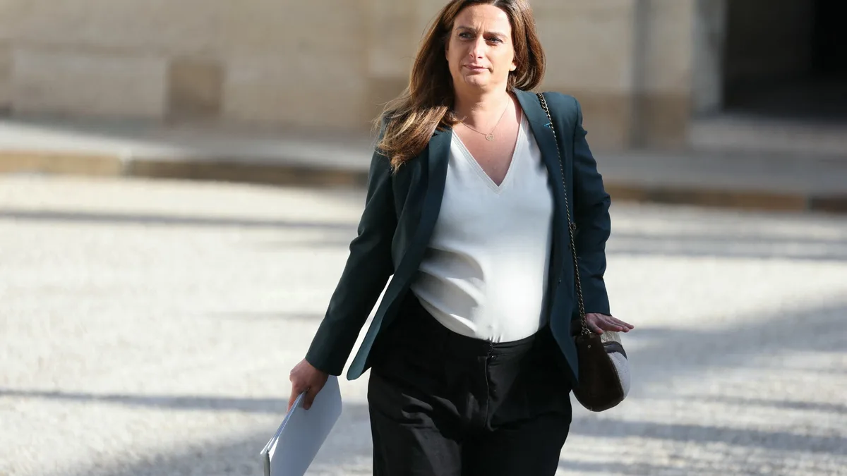 Une "belle nouvelle": la candidate des Écologistes à la présidentielle, Marine Tondelier, annonce avoir accouché d'un petit garçon