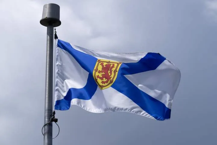 Police watchdog to investigate after alleged hit and run in Halifax