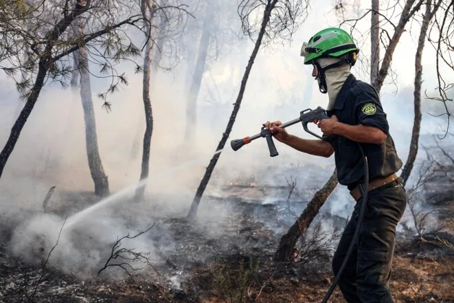 En Algérie, des incendies dans le Nord-Est font au moins douze morts