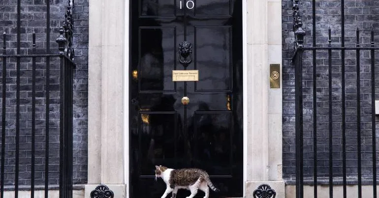 Downing Street celebra regresso a casa do gato Larry