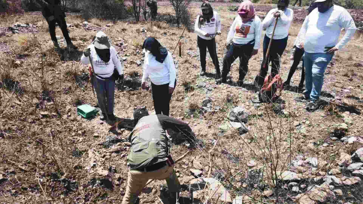 Colectivos de búsqueda de Sinaloa declinan reunión con la gobernadora interina Graciela Domínguez y exigen renuncia de dos funcionarias