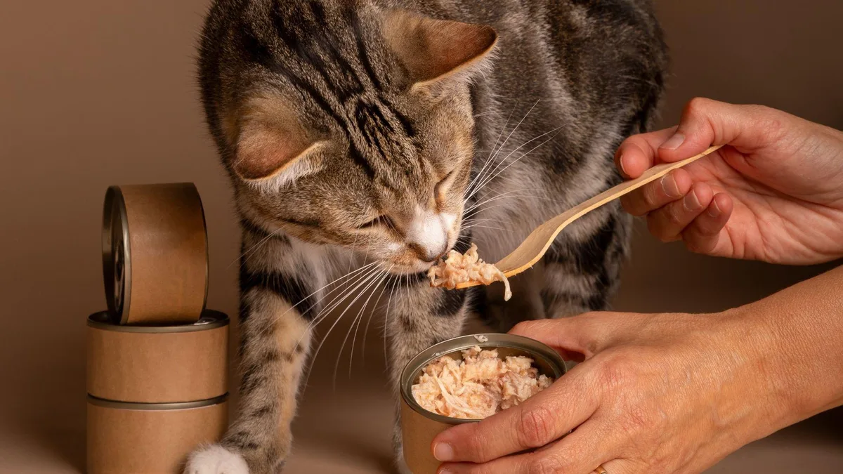 Nutrición felina al descubierto: Guía para elegir el mejor alimento húmedo según Profeco