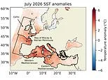 Europe's seas are experiencing an 'alarming' surge in temperatures - and scientists say climate change is to blame