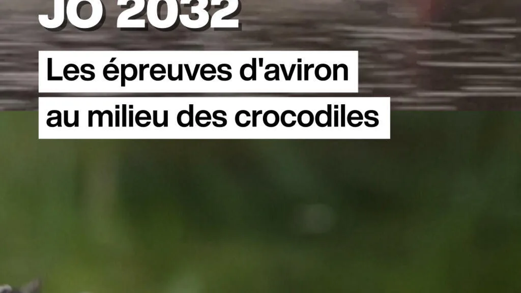 JO 2032 en Australie : les épreuves d'aviron au milieu des crocodiles