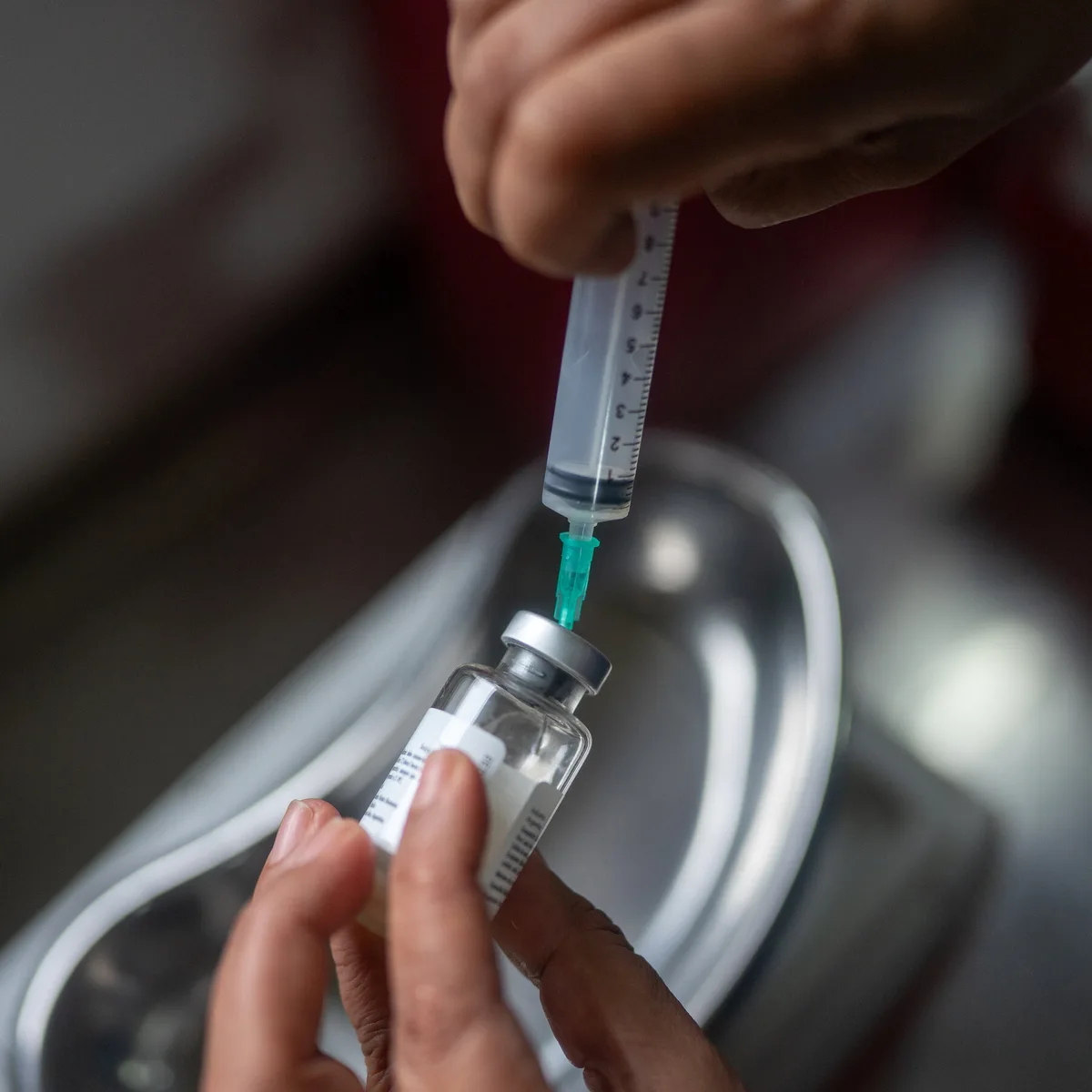 Rare South American Diseases Offer Clues on the Next Pandemic