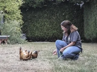 « Offrir une vie sans guerre » : rescapés d’Ukraine, ces animaux trouvent refuge en Normandie en attendant une famille
