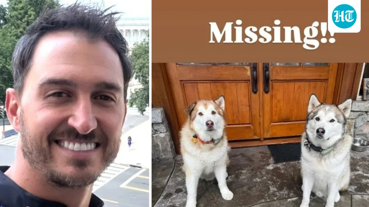 Who is Graham Rahal? IndyCar star's 2 pooches allegedly dognapped from California home, ‘Got picked up in a car…’