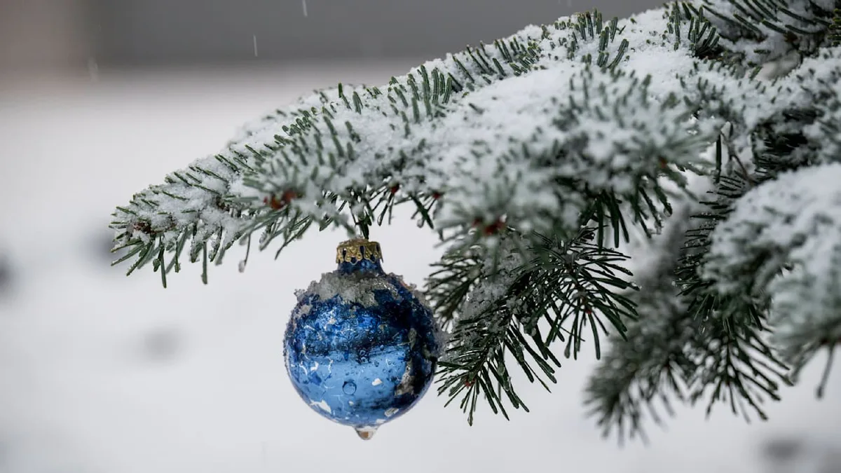 Was man jetzt schon sagen kann - Schneeprognose für Weihnachten aufgetaucht