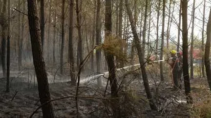 "Ça fait plaisir de rentrer à la maison" : dans les Landes, la moitié des habitants évacués à cause de l'incendie peut rentrer