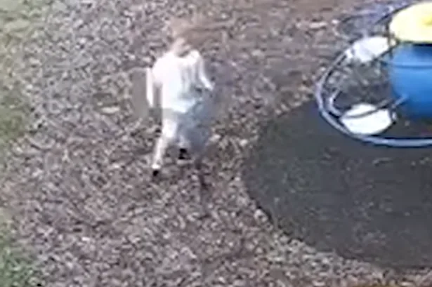 Noah Woods - latest: Body of child found in search for missing boy, 3, in Brantham