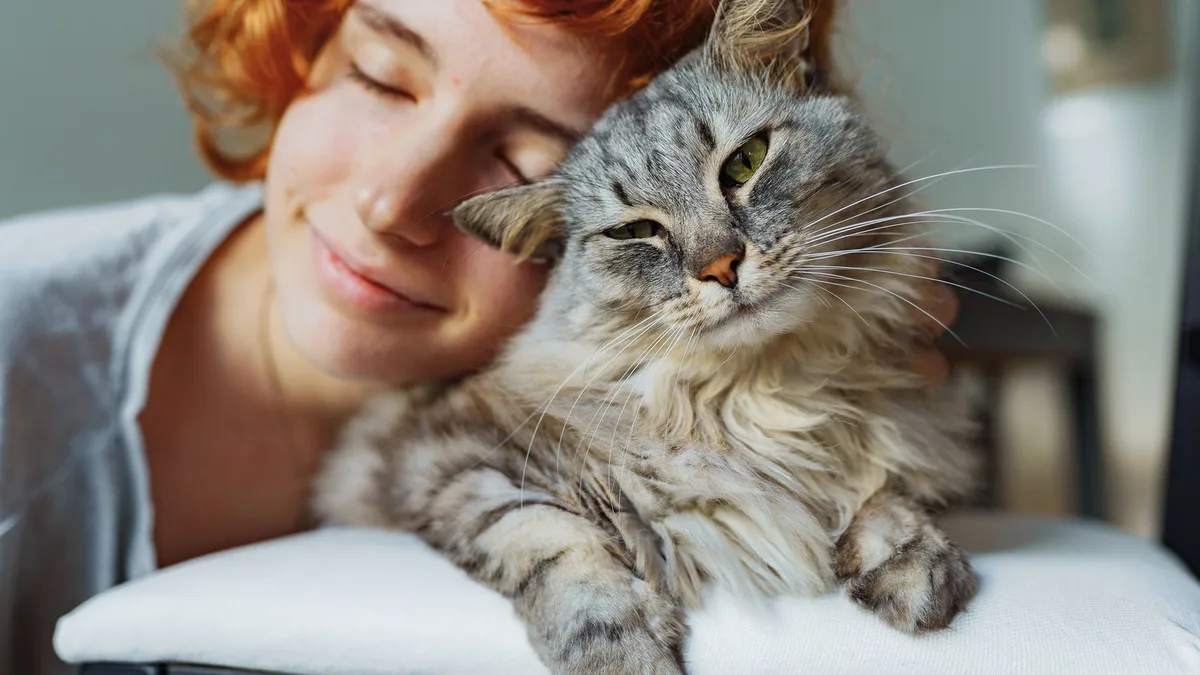 Los expertos en psicología coinciden: las personas que parpadean lentamente con su gato generan más confianza