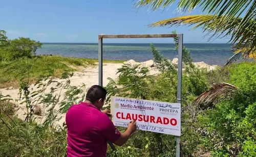 Semarnat coloca sellos de clausura en zona de dunas de Chabihau, Yucatán; trabajos con maquinaria provocan daños ambientales