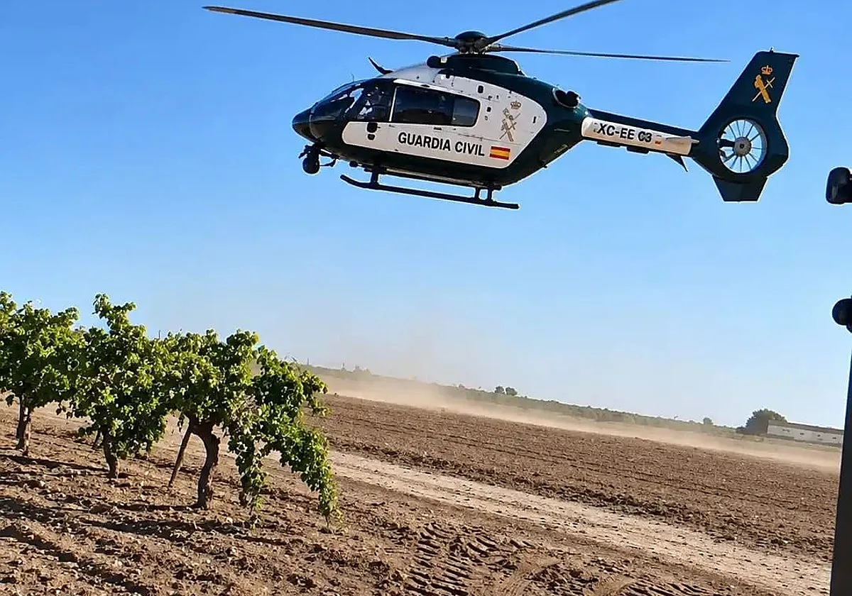 La Unión de Agricultores y Ganaderos pide controles proporcionales durante las campañas