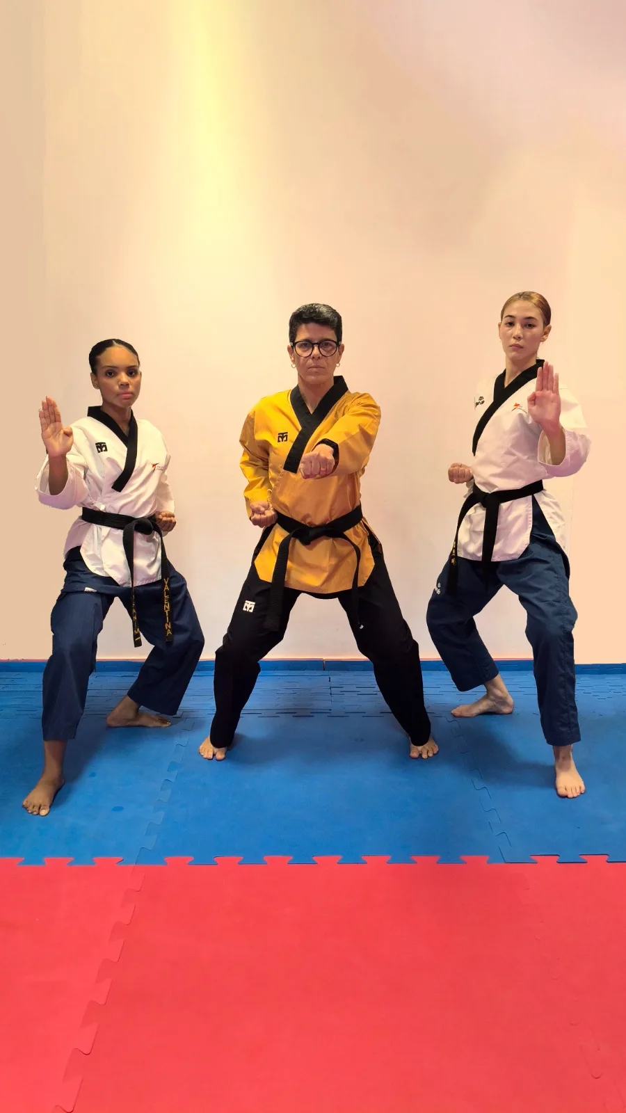 Delegação capixaba disputa Brasileiro de Poomsae a partir desta quinta-feira (15), em São Paulo