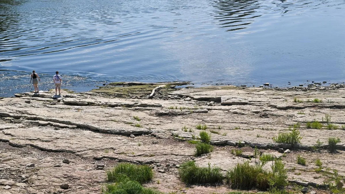 Niedrigwasser und die Folgen: «Die Elbe ist eine Diva» – Was jetzt getan werden muss