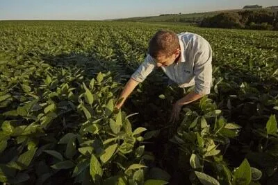 Propósito y rentabilidad: ESG en un mundo dividido (II)