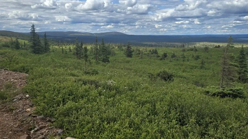 Iron Bear retakes full control of generational Canadian iron ore giant