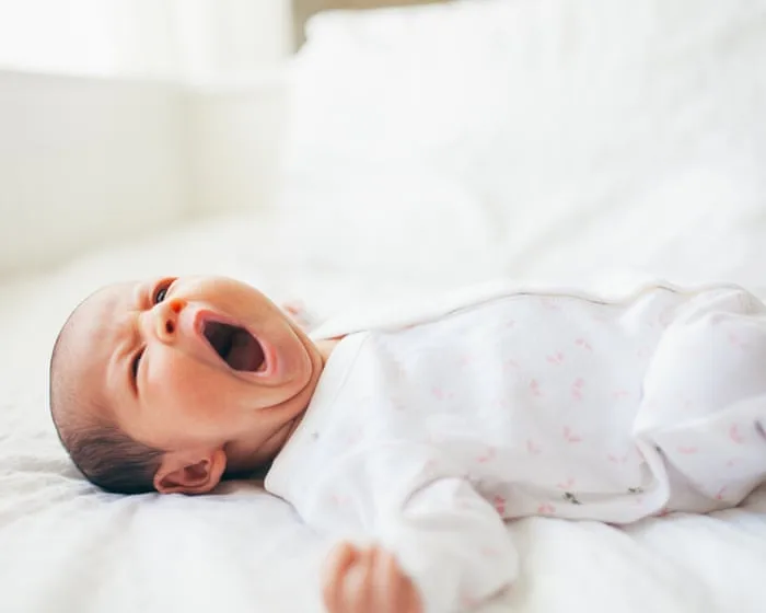 The Guardian view on falling birthrates: cash alone cannot buy belonging | Editorial