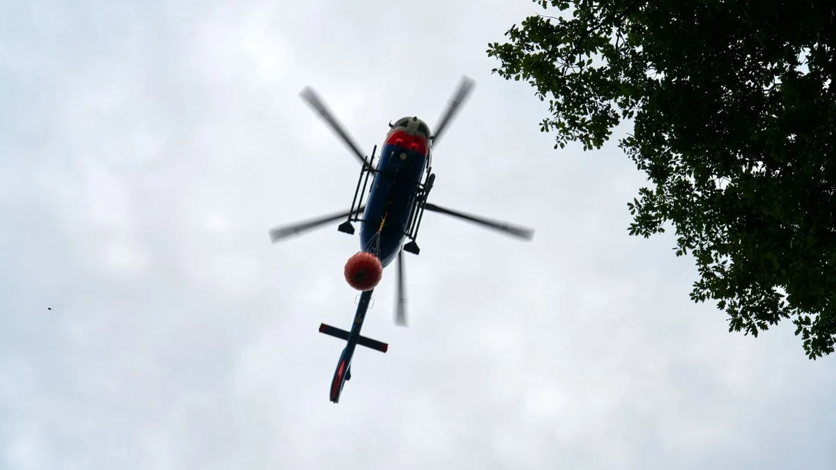 Großbrand in Rheinland-Pfalz: Waldbrand im Westerwald: Einsatzkräfte weiter vor Ort