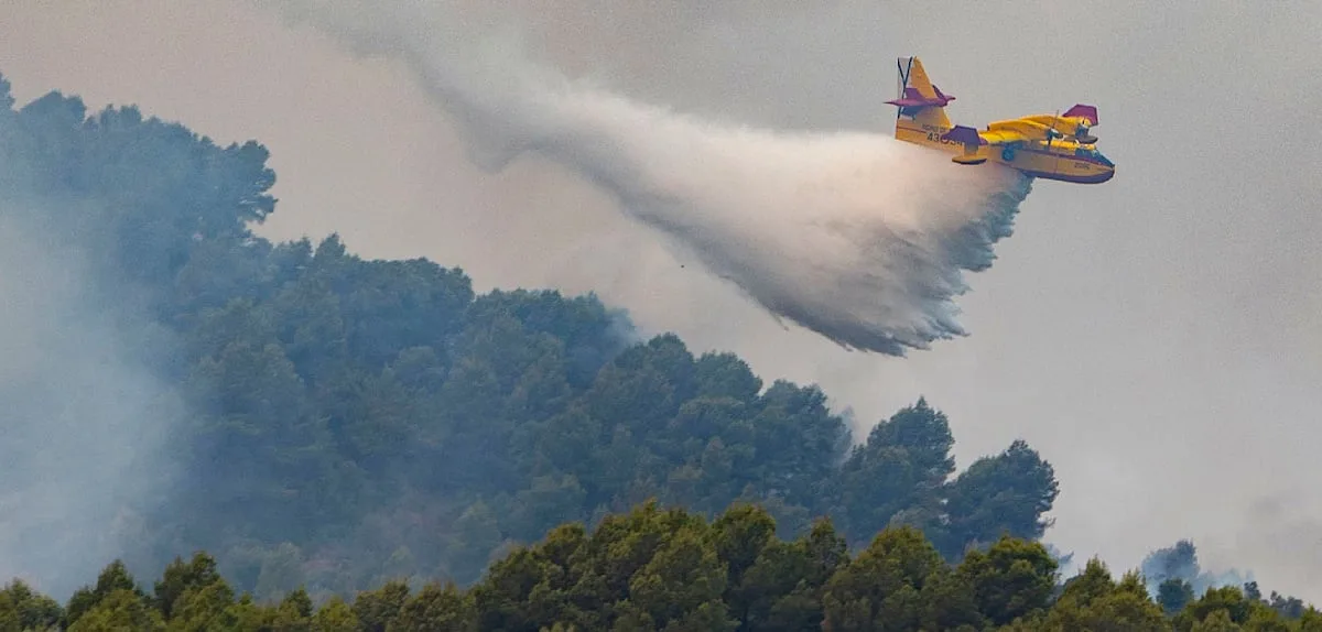 Heftiger Waldbrand in der Region Valencia – Gleichzeitig Überschwemmungen an der Goldküste