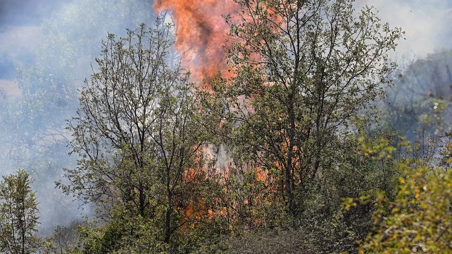 Feux de forêt : six départements du sud de la France vigilance orange, le Gard en vigilance rouge lundi