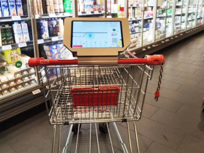 Using AI Shopping Carts Could Lead You to Spend More Money, Study Says