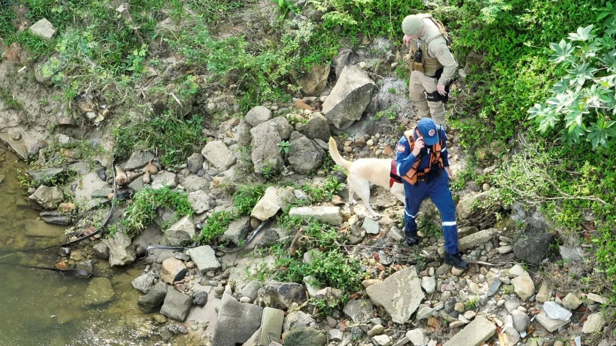 Terceiro dia de buscas por criança e homem levados por correnteza de rio em SC se encerra com cão de busca tendo interesse em áreas próximas ao desaparecimento