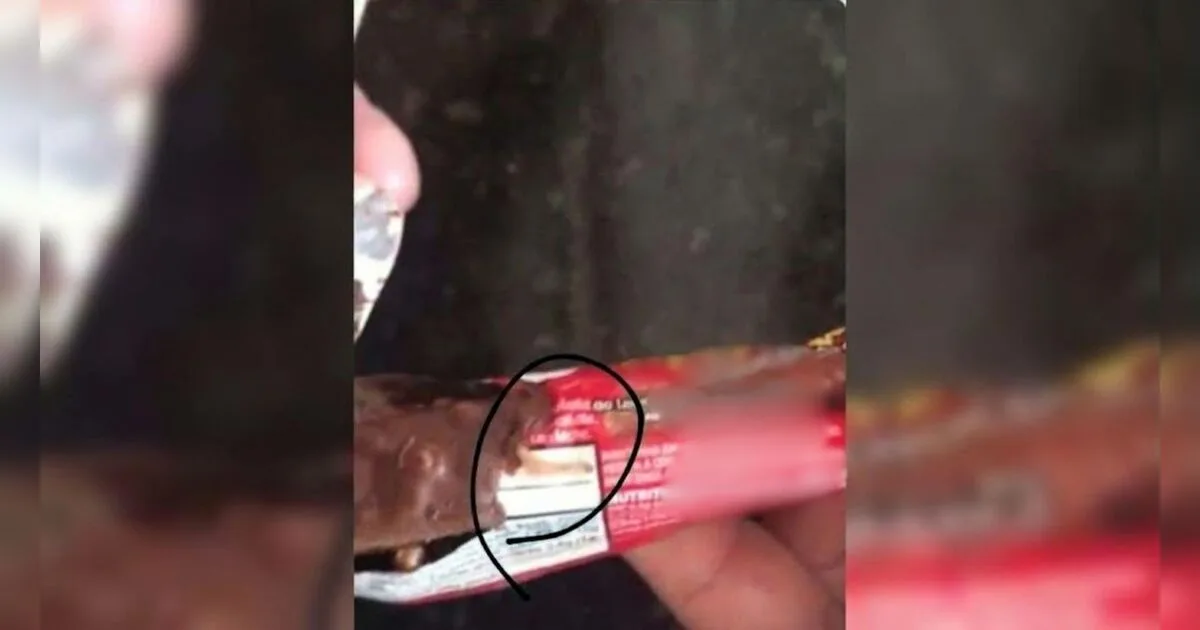 Família que encontrou larvas vivas em chocolate será indenizada em R$ 8 mil em SC