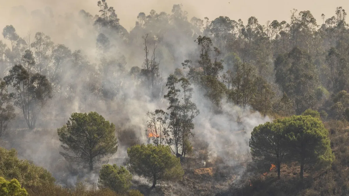 España suma 264.656 hectáreas afectadas por los incendios en 2026, 80.000 menos que el año pasado