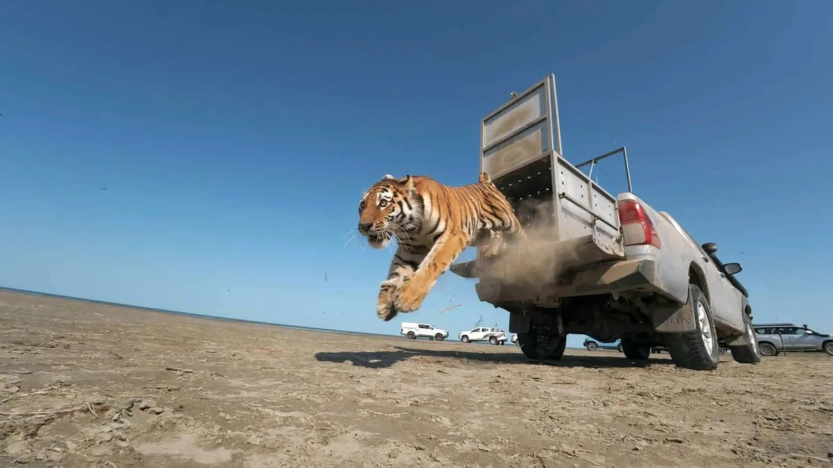Photos: Releasing Animals Back Into Their Habitats