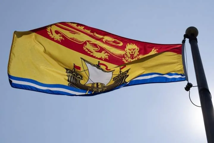 New Brunswick horse owners warned about potential virus exposure