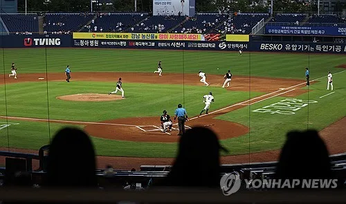 프로야구 NC, 연고지 창원 유지…"시 개선 의지 다시 믿겠다"