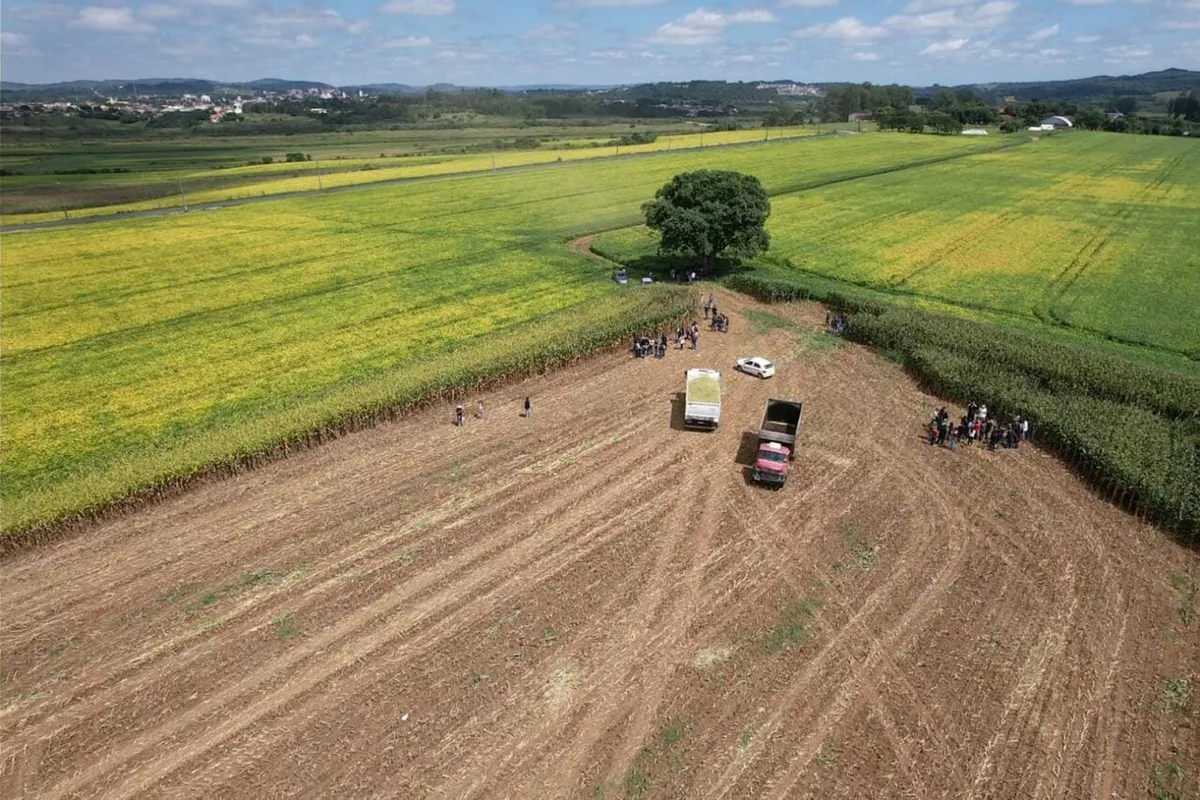 Alunos de colégios agrícolas do Paraná poderão operar tratores a partir de 16 anos