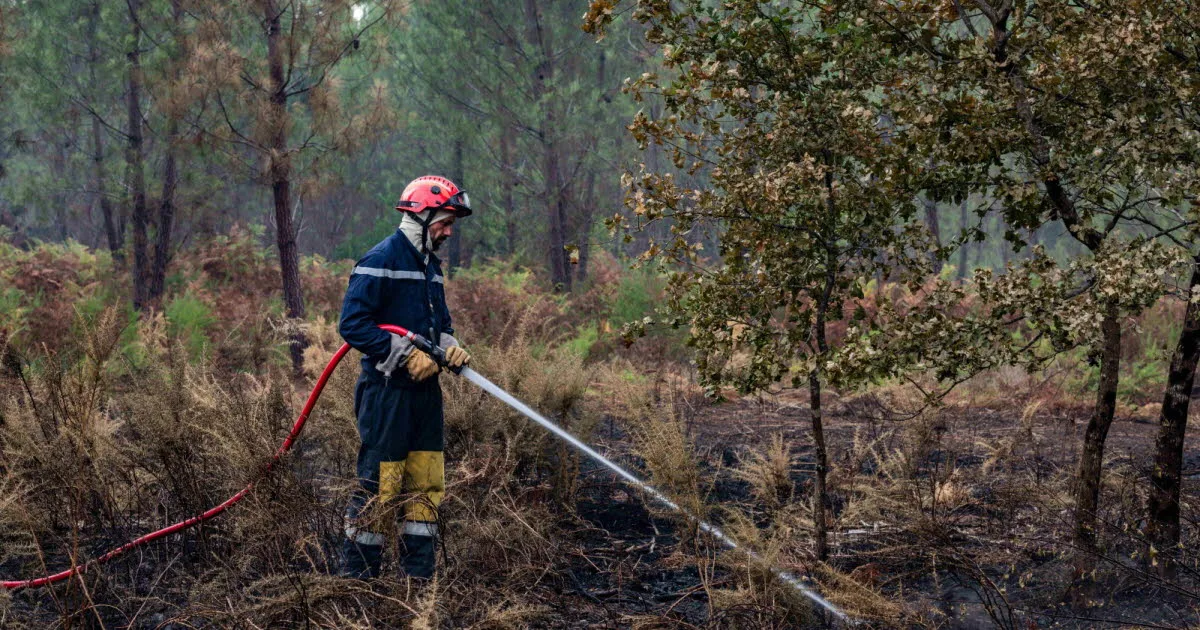 Pas-de-Calais. L'incendie qui a ravagé 190 hectares lié à des tentatives de traversées clandestines