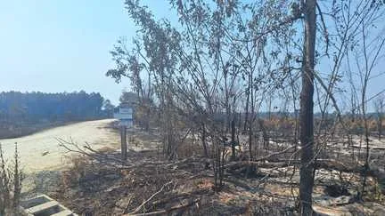 L'aide de l'État dans la campagne de communication pour soutenir le tourisme en Gironde après l'incendie va permettre de toucher "l'international", assure le comité régional du tourisme