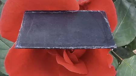 Fester Verbundstoff auf Bambusbasis hält elektromagnetische Strahlung ab