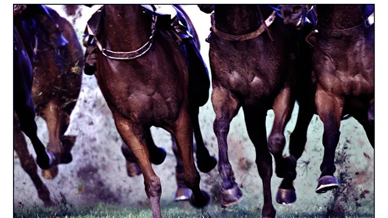 Tips and previews for racing at Wagga on Thursday
