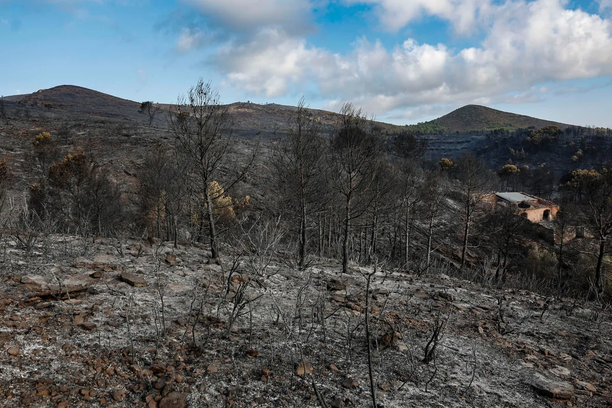Descubren el cuerpo sin vida de un vecino de Gátova (Valencia) cuando los mil evacuados por el incendio de Serra Calderona volvían a sus casas