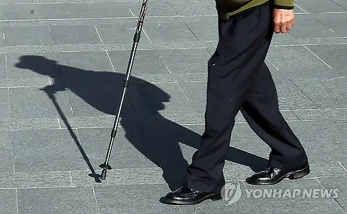 노년기 근력·신체기능 떨어지면 사망 위험 1.5배 증가