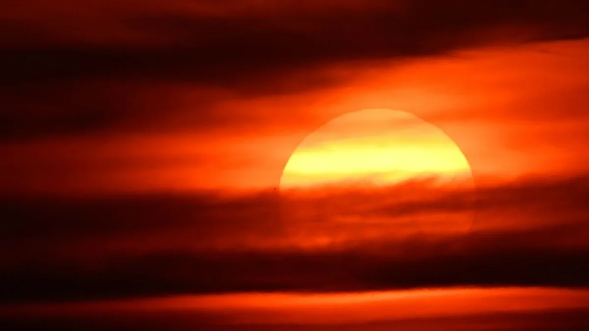 RKI-Bericht: Bereits rund 15.800 hitzebedingte Todesfälle in diesem Sommer