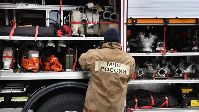 В ЕАО локализовали лесной пожар возле АЗС на площади в 940 гектаров